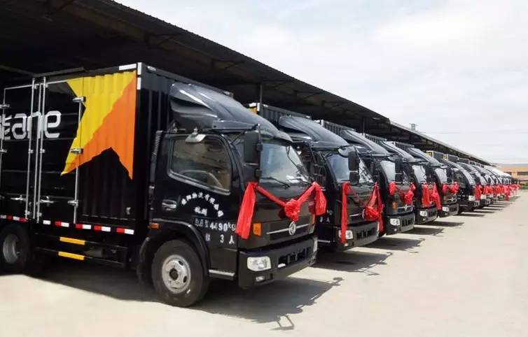 19 Do<em></em>ngfeng Light Trucks Delivered to Anneng Logistics