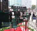 Jiefang J6-AoweiCA6DM(11L) engine