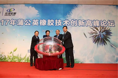 Linglong Focused On Dandelion Rubber Development