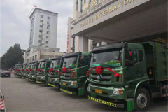Sinotruk CDW Sold 100 Units Lishi 6*4 Engineering Trucks