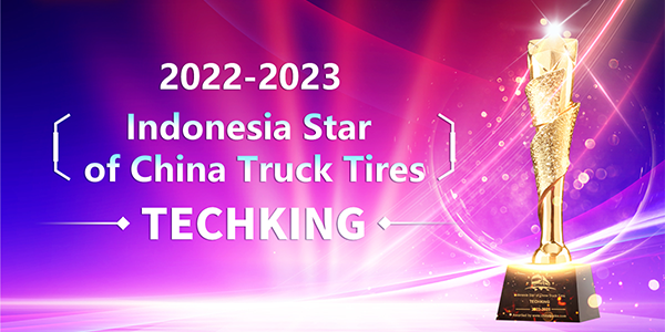 Techking Wins the “Indonesia Star of China Truck Tires” Award