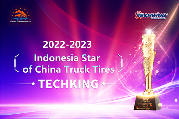 Techking Was Awarded Indonesia Star of China Truck Tires