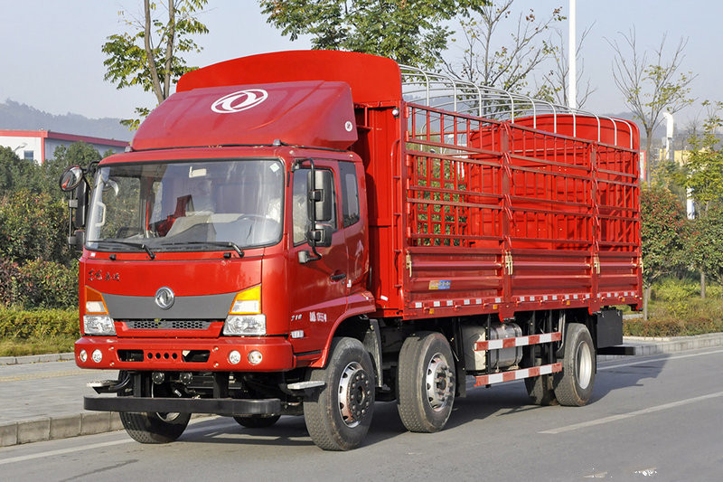 Dongfeng Jiayun 210HP 6X2 9.6M Stake Cargo Truck(EQ5250CCYGD5D)