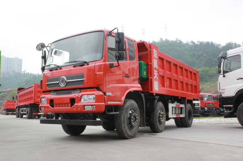 Dongfeng Tianjin VR Heavy Truck 270kHP 8X2R 5.8m Euro 6 Dumper(DFH3310BX4)